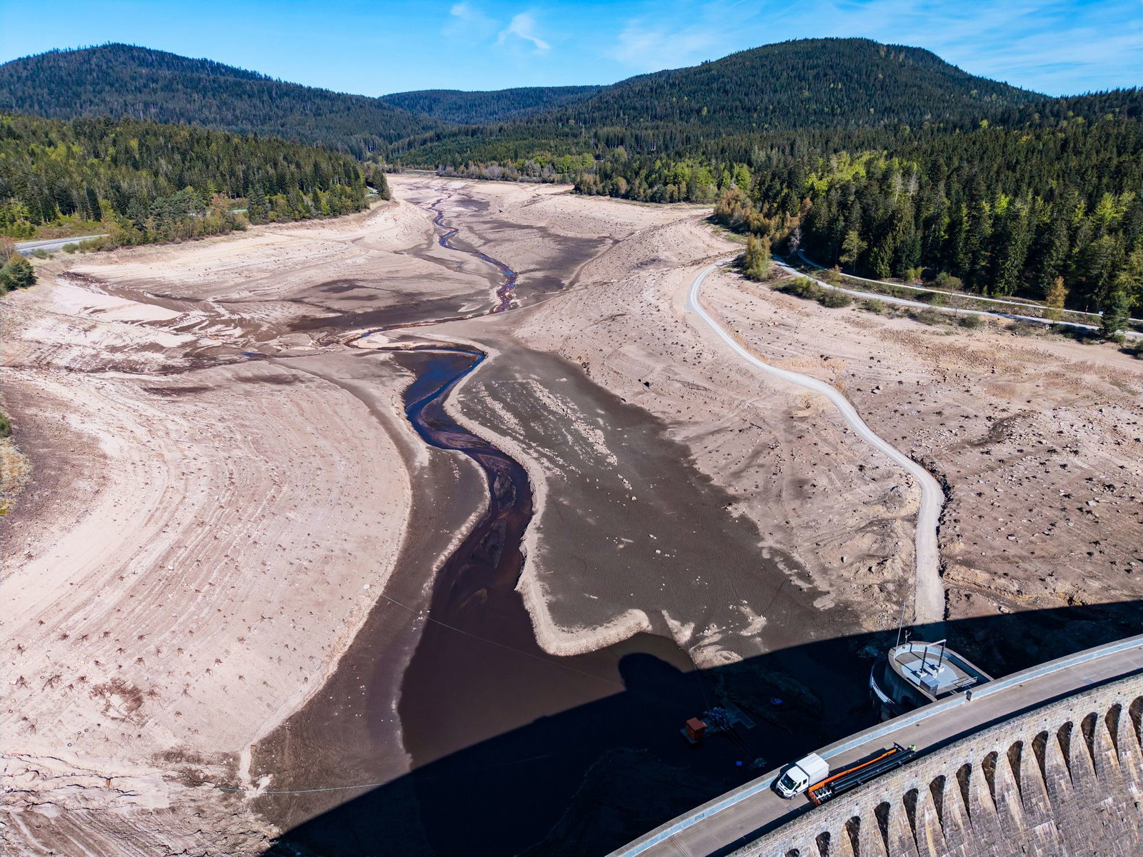 Die Fische wurden umgesiedelt.