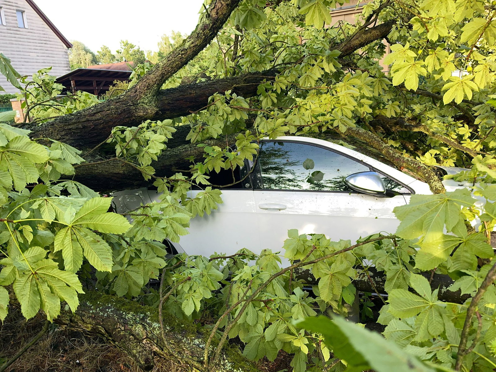 Die Versicherer zahlten rund 3 Millionen Euro für Auto-Unwetterschäden im Saarland – ein deutlicher Rückgang im Vergleich zu 2024. (Archivbild)