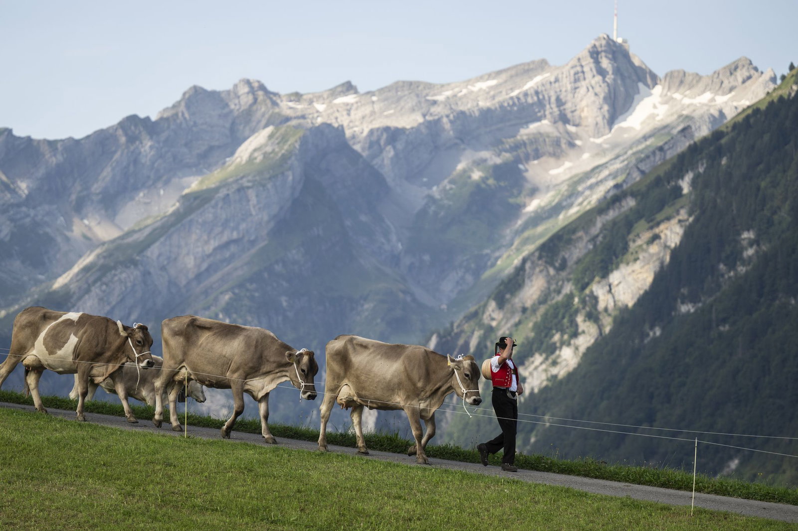 Auf die Spitze des Säntis geht es in diesem Sommer nur zu Fuß (Archivbild)