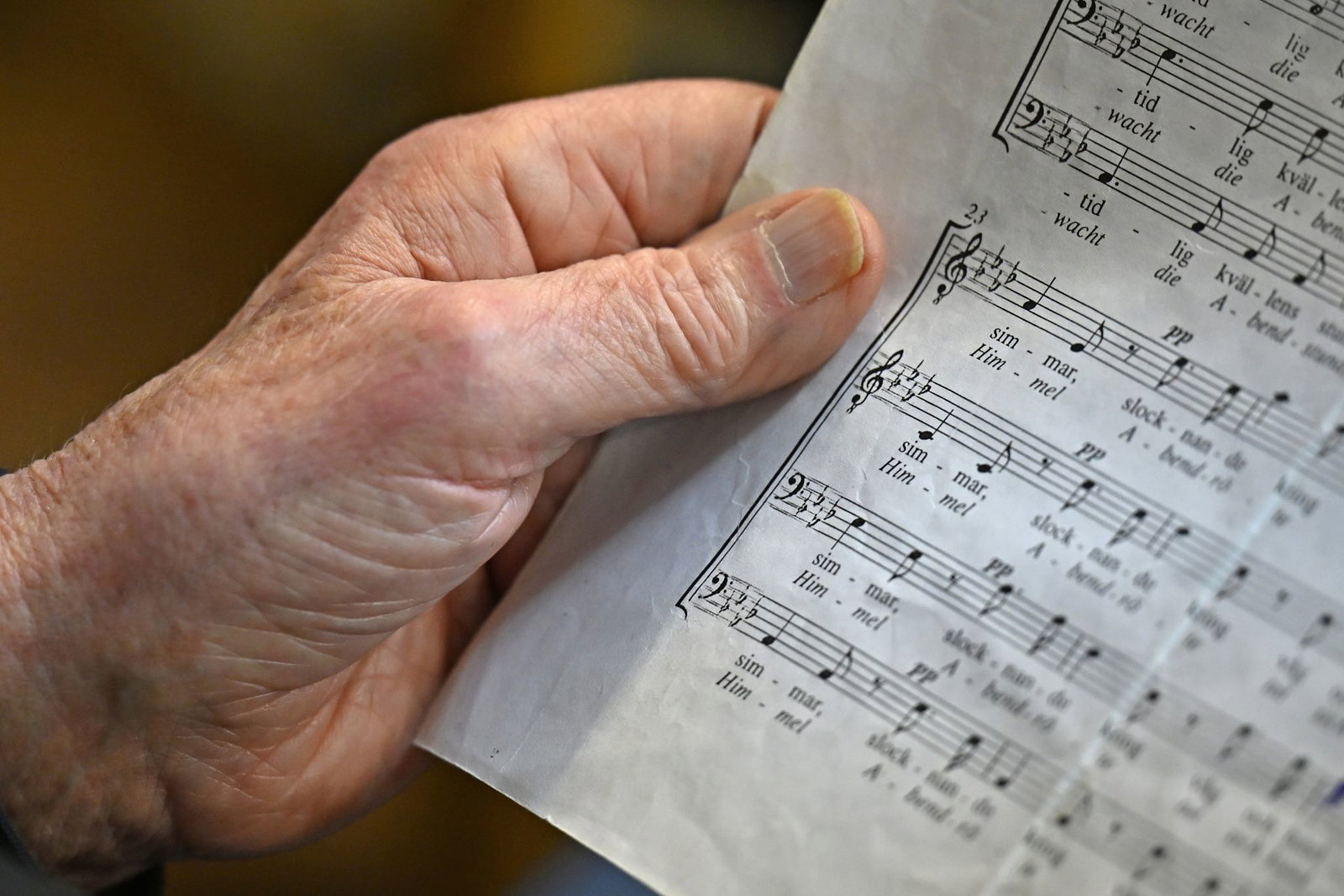 Der Chorverband Rheinland-Pfalz hat rund 60.000 Mitglieder. (Archivbild)