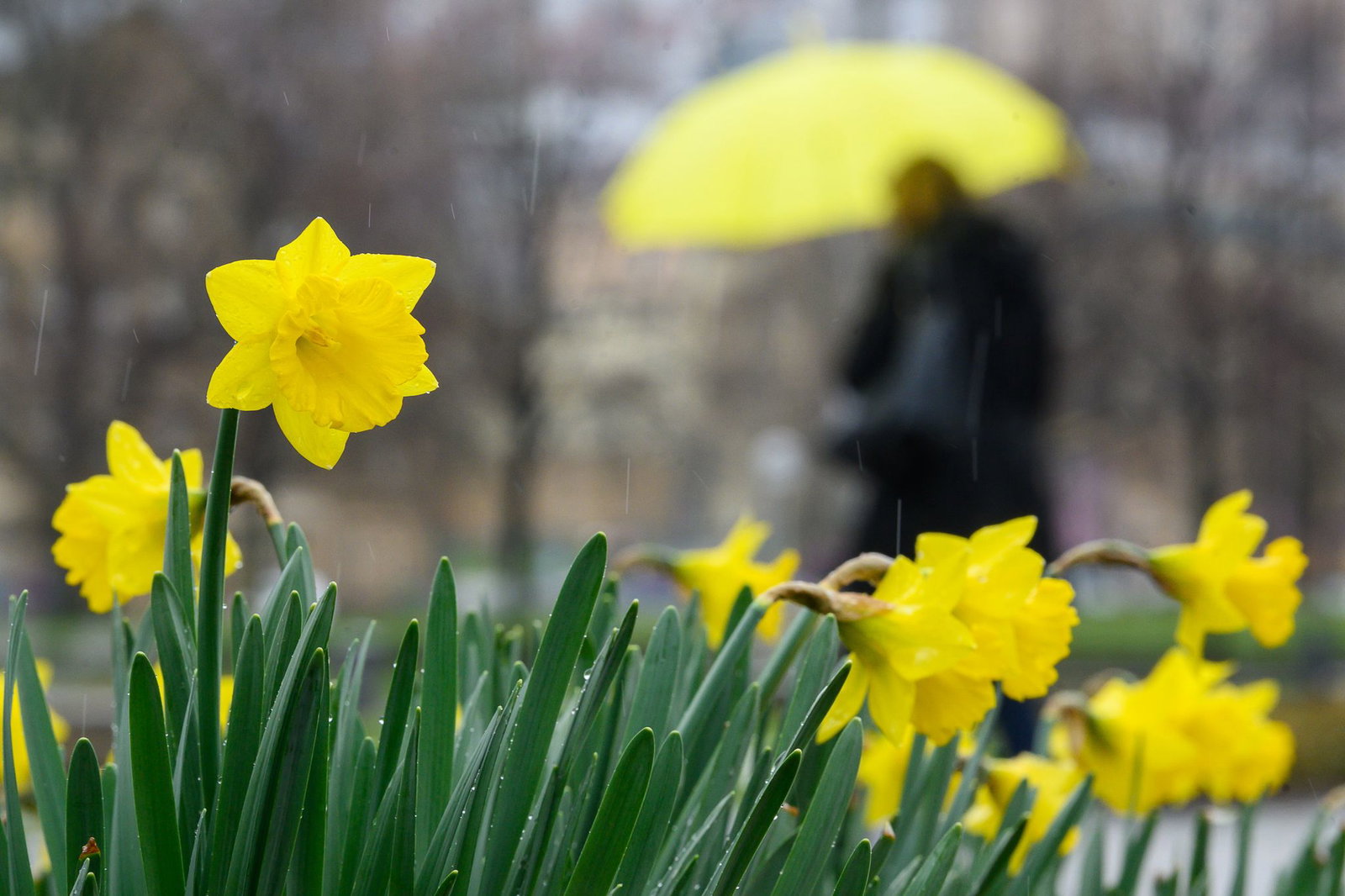 Immer wieder droht am langen Wochenende laut der Wettervorhersage Regen. Genaue Prognosen sind einer Meteorologin zufolge schwer zu machen. (Archivbild)