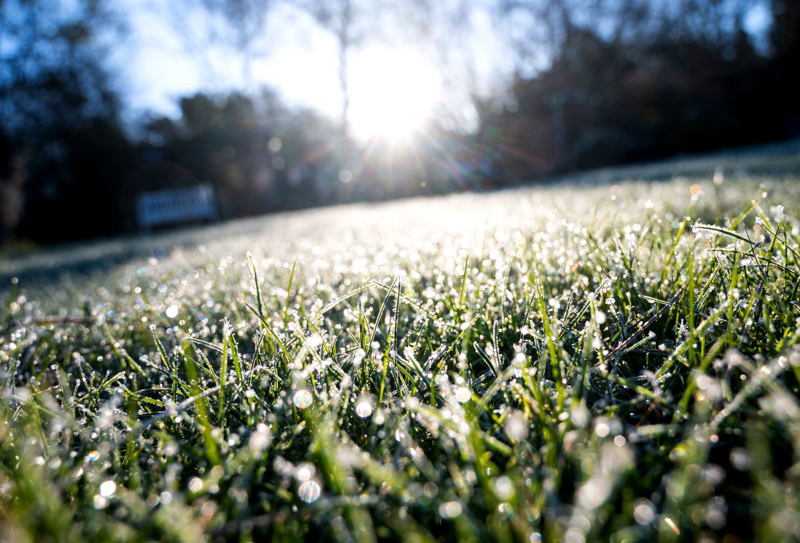 Nach einem sonnigen und warmen Samstag ändert sich das Wetter. Örtlich ist in den kommenden Nächten sogar Bodenfrost möglich. (Symbolbild)