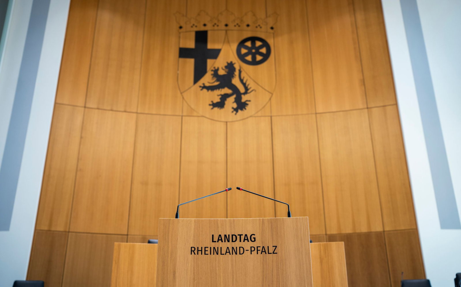 Im nächsten Landtag von Rheinland-Pfalz wird die AfD die stärkste Oppositionsfraktion bilden. (Archivfoto)