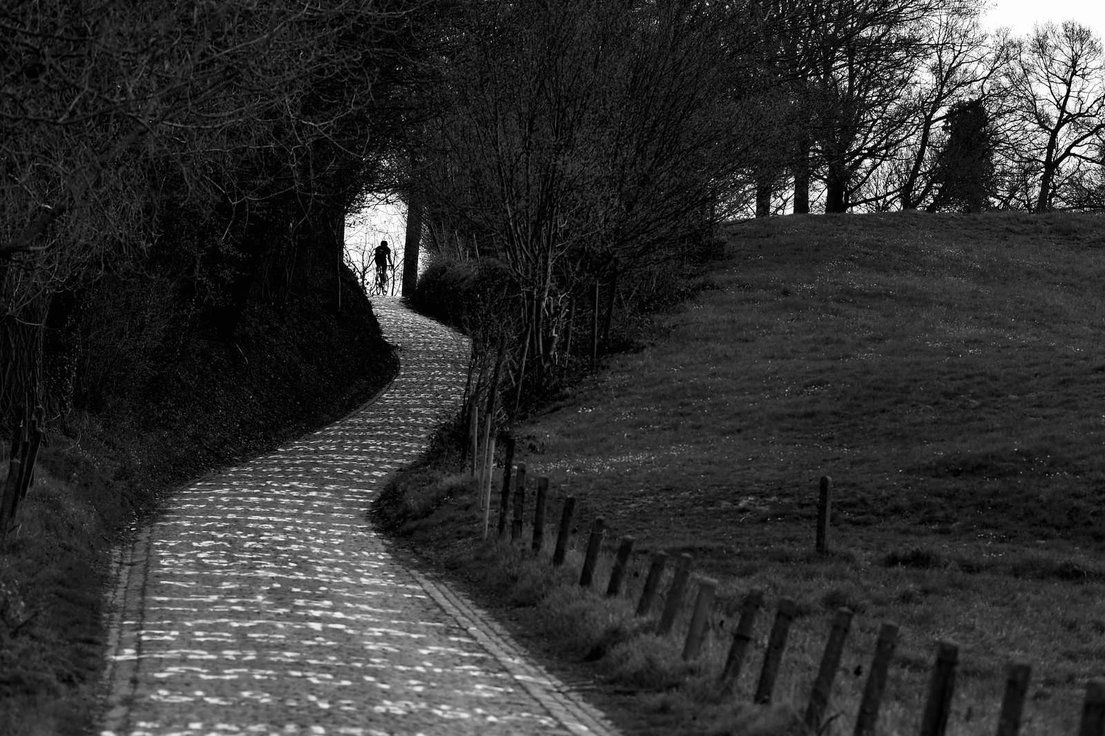 Bis zu 22 Prozent steil: Der Koppenberg liegt 45 Kilometer vor dem Ziel der Flandern-Rundfahrt. (Archivbild)