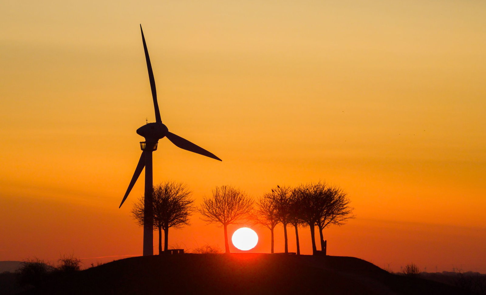 Der Umstieg von fossilen auf erneuerbare Energien ist ein Thema beim Petersberger Klimadialog. (Archivbild)