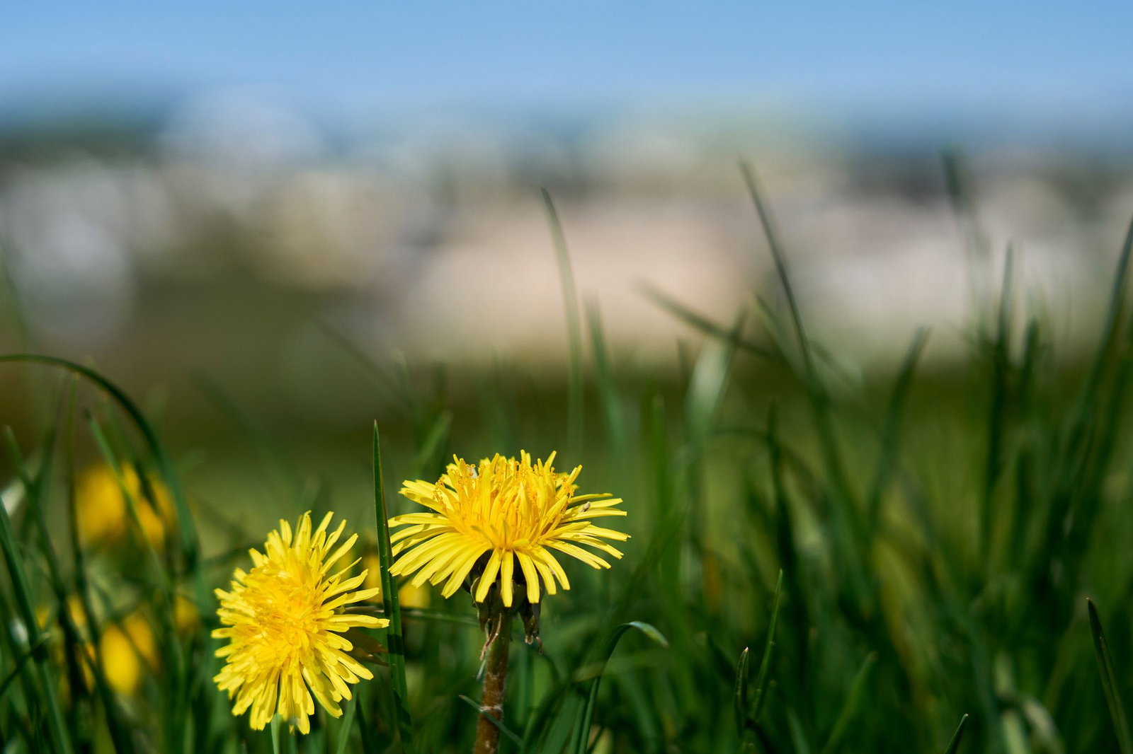 «Heiter bis wolkig» lautet die Devise für Rheinland-Pfalz und das Saarland. (Archivbild)