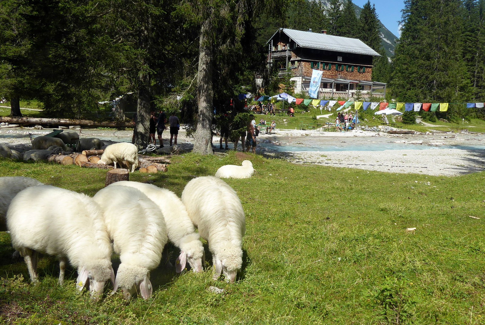 Der tragische Unfall ereignete sich unweit der Reintalangerhütte des Alpenvereins. (Archivbild)