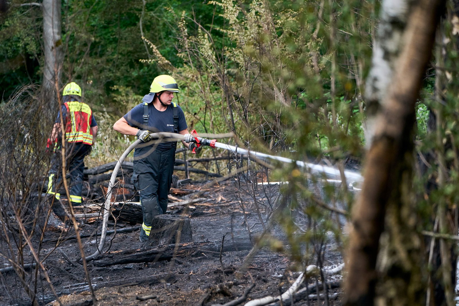 Fast immer verursacht der Mensch einen Waldbrand. (Archivbild)