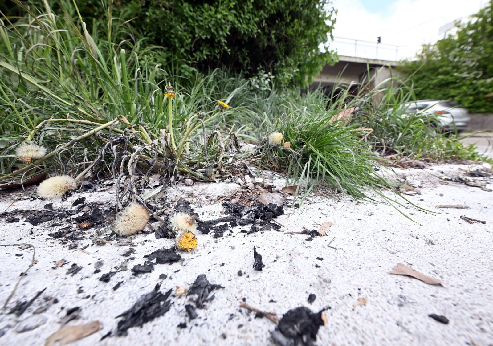 Auch einige Tage nach dem Vorfall sind die Spuren noch zu sehen.