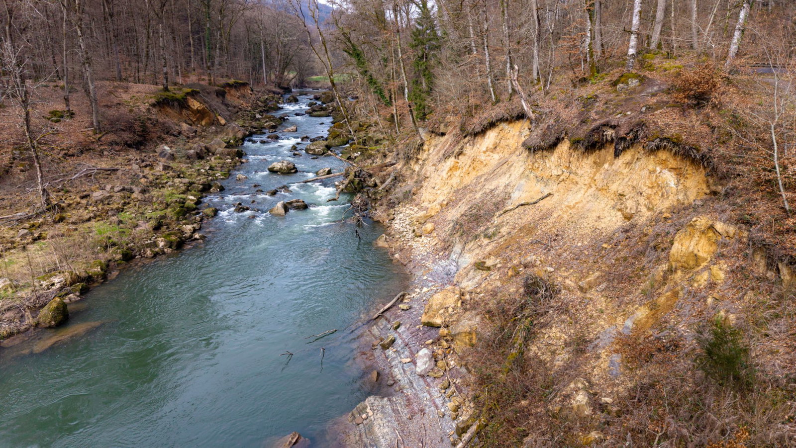 Der Fundort des Eifeler Raubsauriers an einem Steilhang der Prüm.