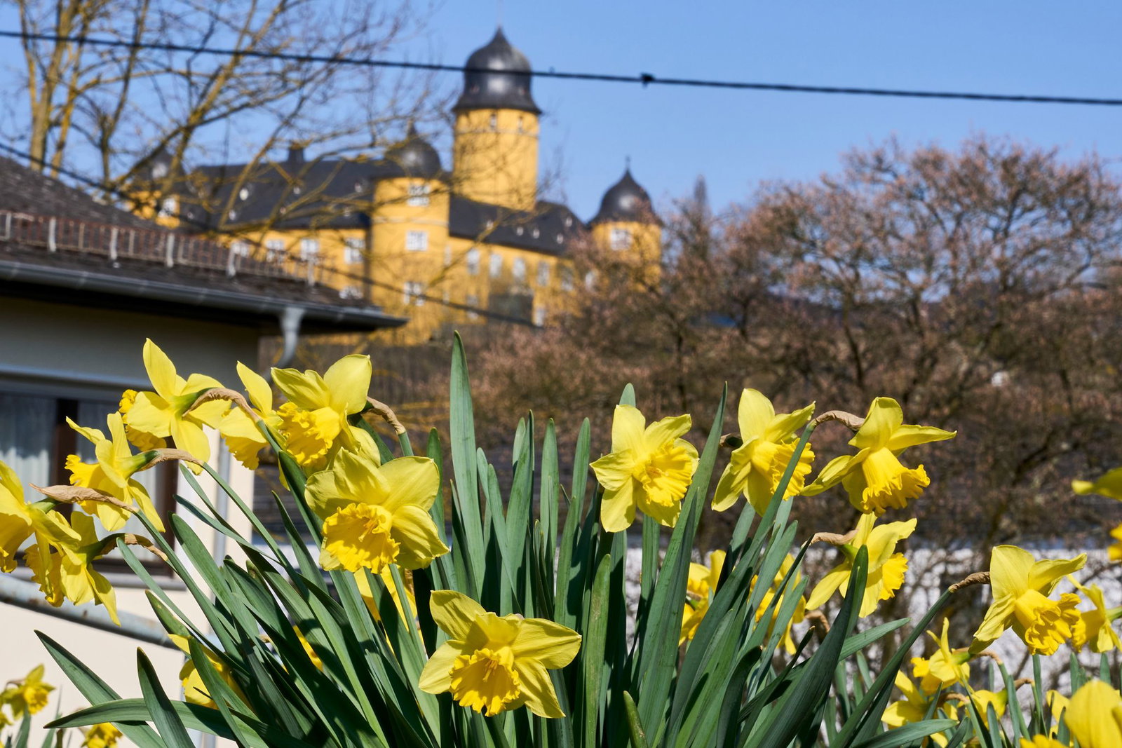 Überwiegend sonnige Tage stehen den Menschen in Rheinland-Pfalz und dem Saarland bevor. (Symbolbild)