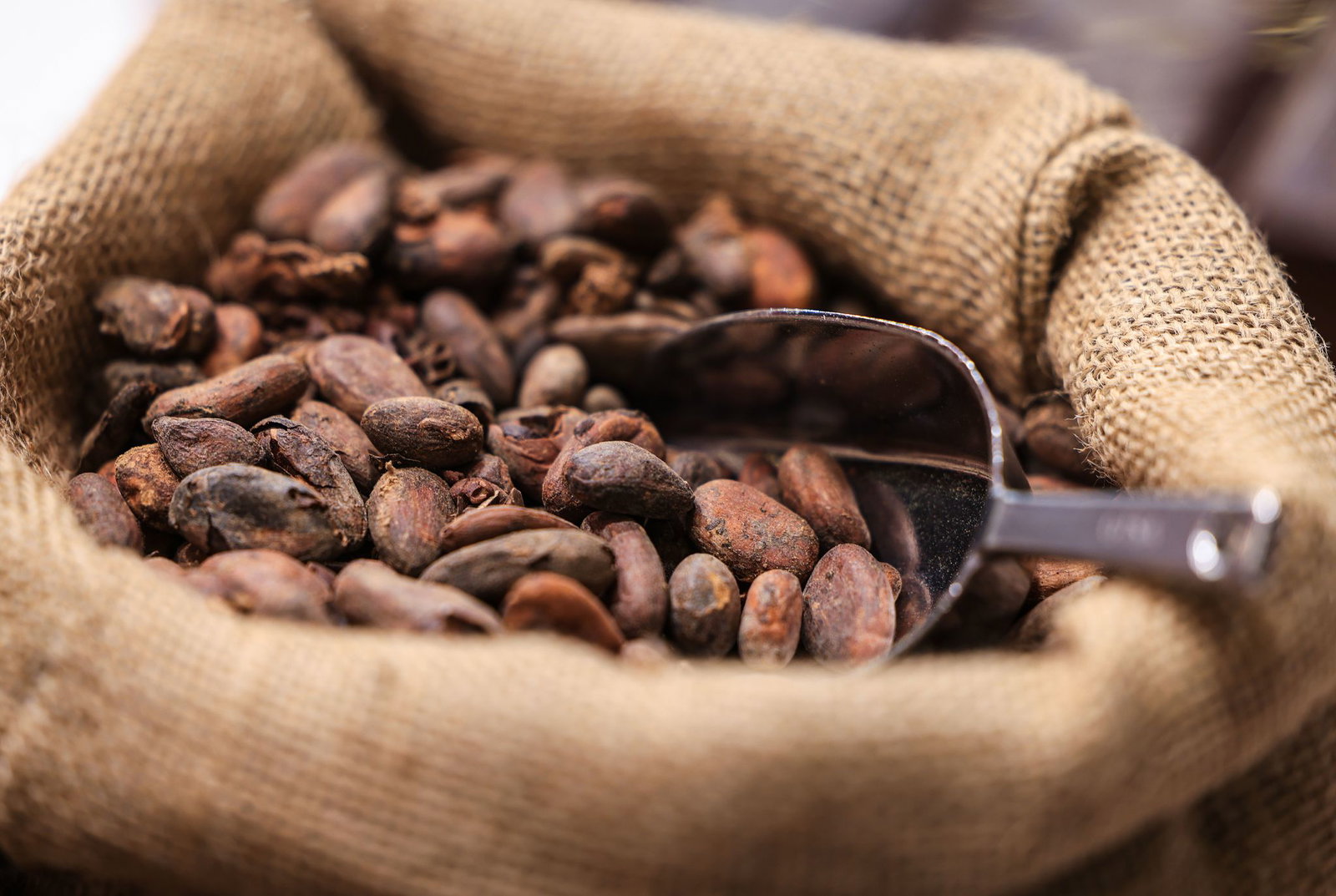 Die Kakaopreise sind zuletzt wieder gesunken. (Symbolbild)