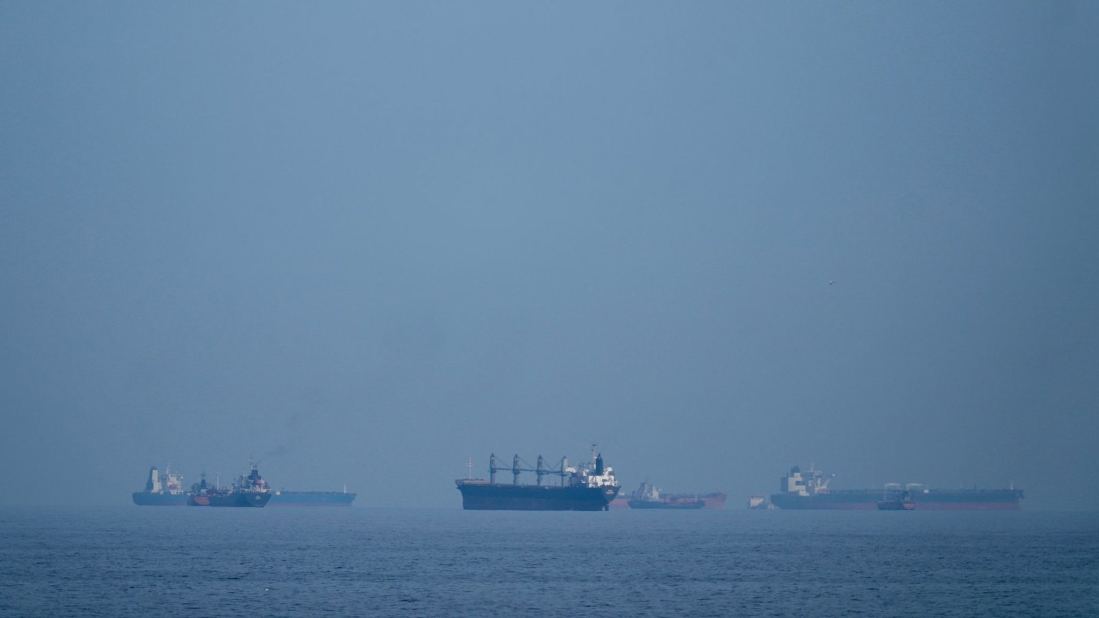 Über die Seerouten um den Iran werden viele Rohstoffe verschifft. (Symbolbild)  