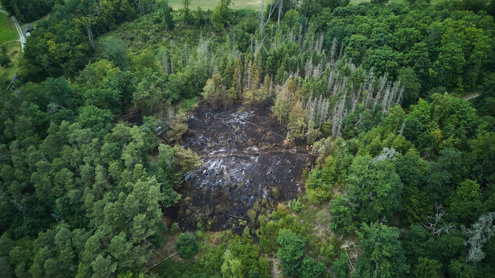 Im vergangenen Sommer brannte es unter anderem im Westerwald, generell ist Rheinland-Pfalz jedoch kein Bundesland mit einem besonders hohen Waldbrandrisiko.  