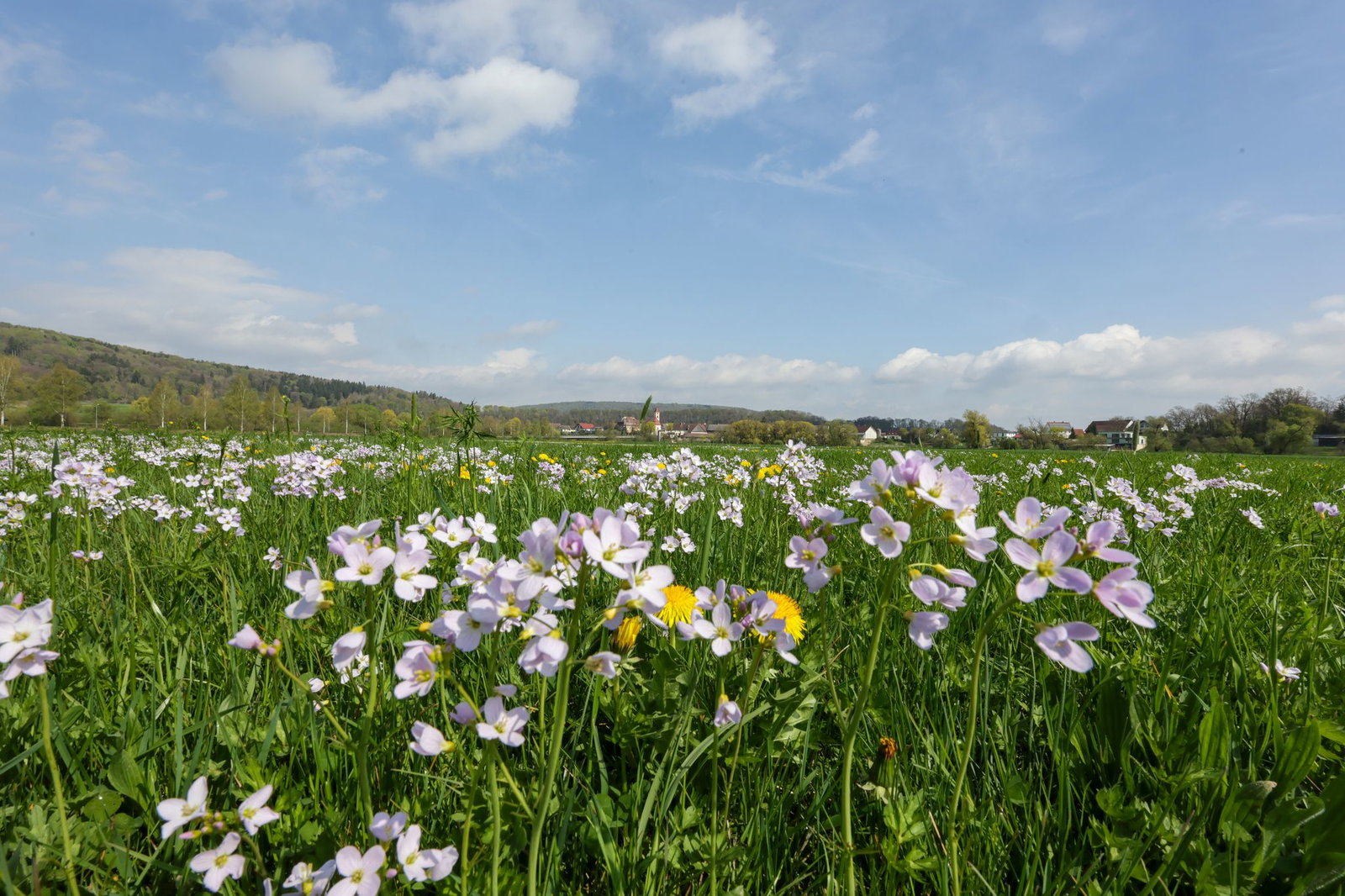 Die Woche in Baden-Württemberg beginnt mit einem Mix aus Sonne und Wolken. (Archivbild)