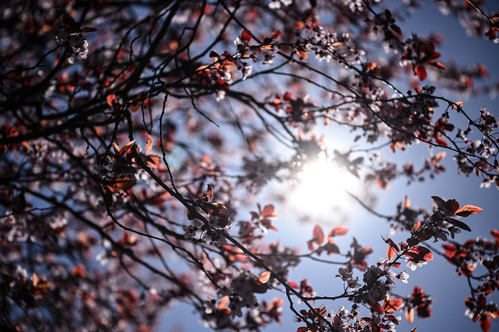 Bevor es zur kommenden Woche wieder ungemütlich wird, scheint nochmal kräftig die Sonne. (Archivbild)