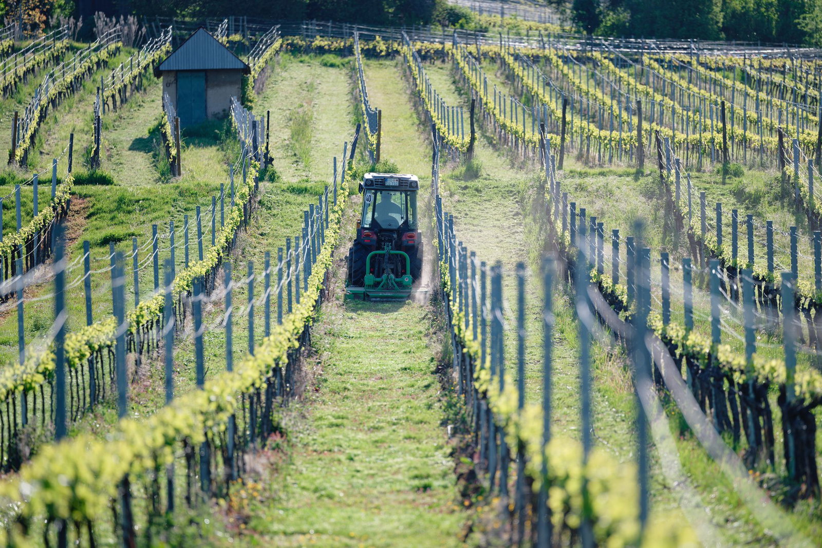 Das Wetter wird sonnig im Südwesten. (Archivbild)