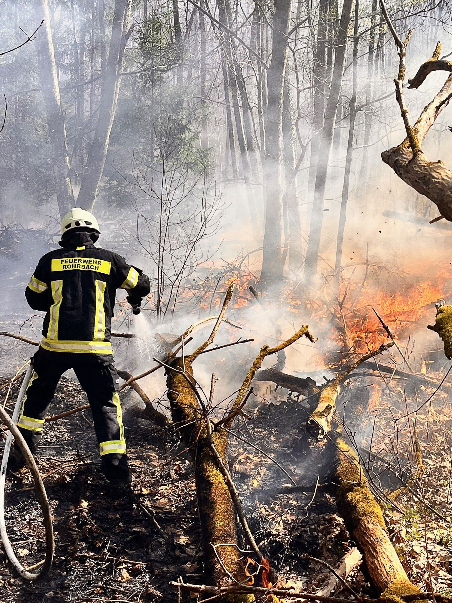Ein Waldbrand hielt Feuerwehrleute in Atem 