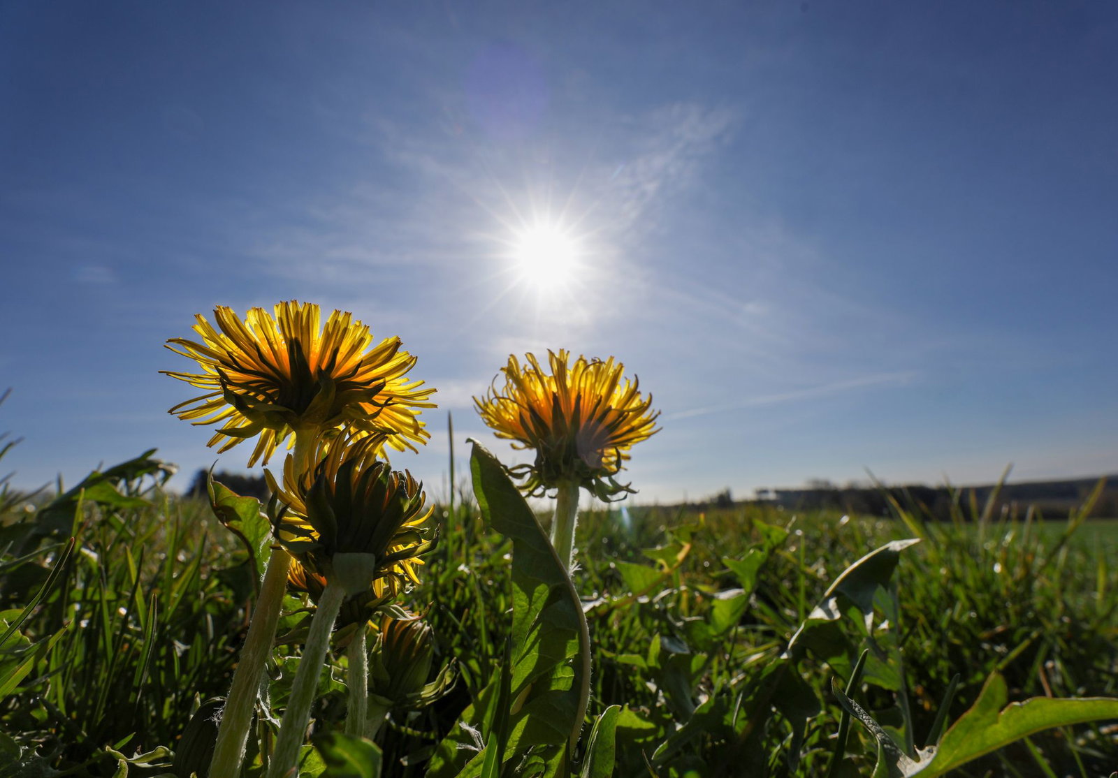 Gutes Wetter für die Osterferien. (Archivbild)
