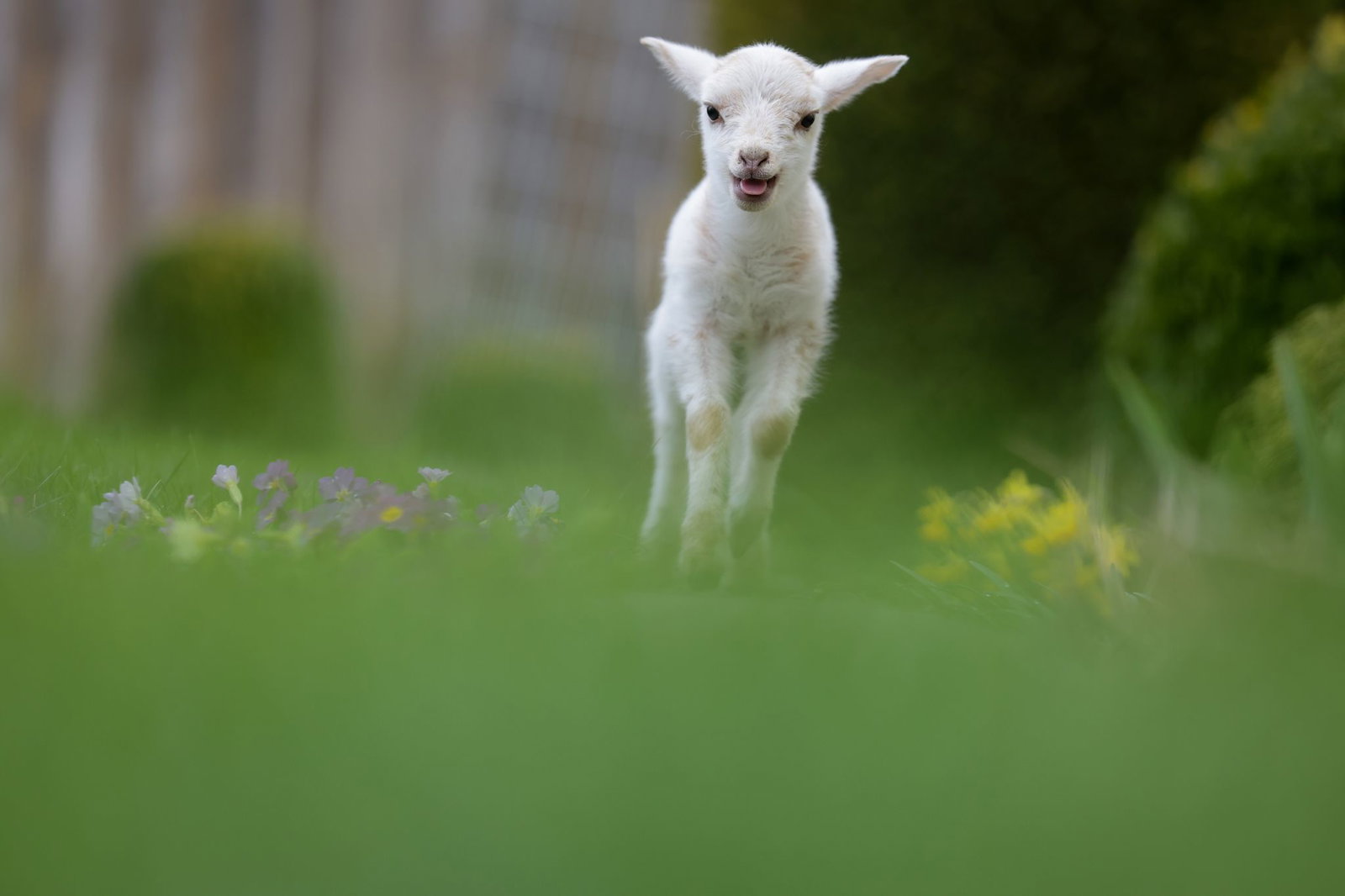 Am Ostersonntag dürfte nach Nebelauflösung zunächst häufig die Sonne scheinen. (Archivbild)