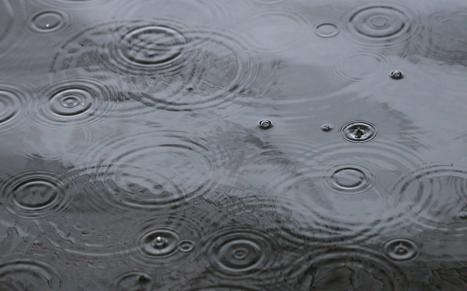 Der Start ins Wochenende wird etwas regnerisch. (Archivbild)