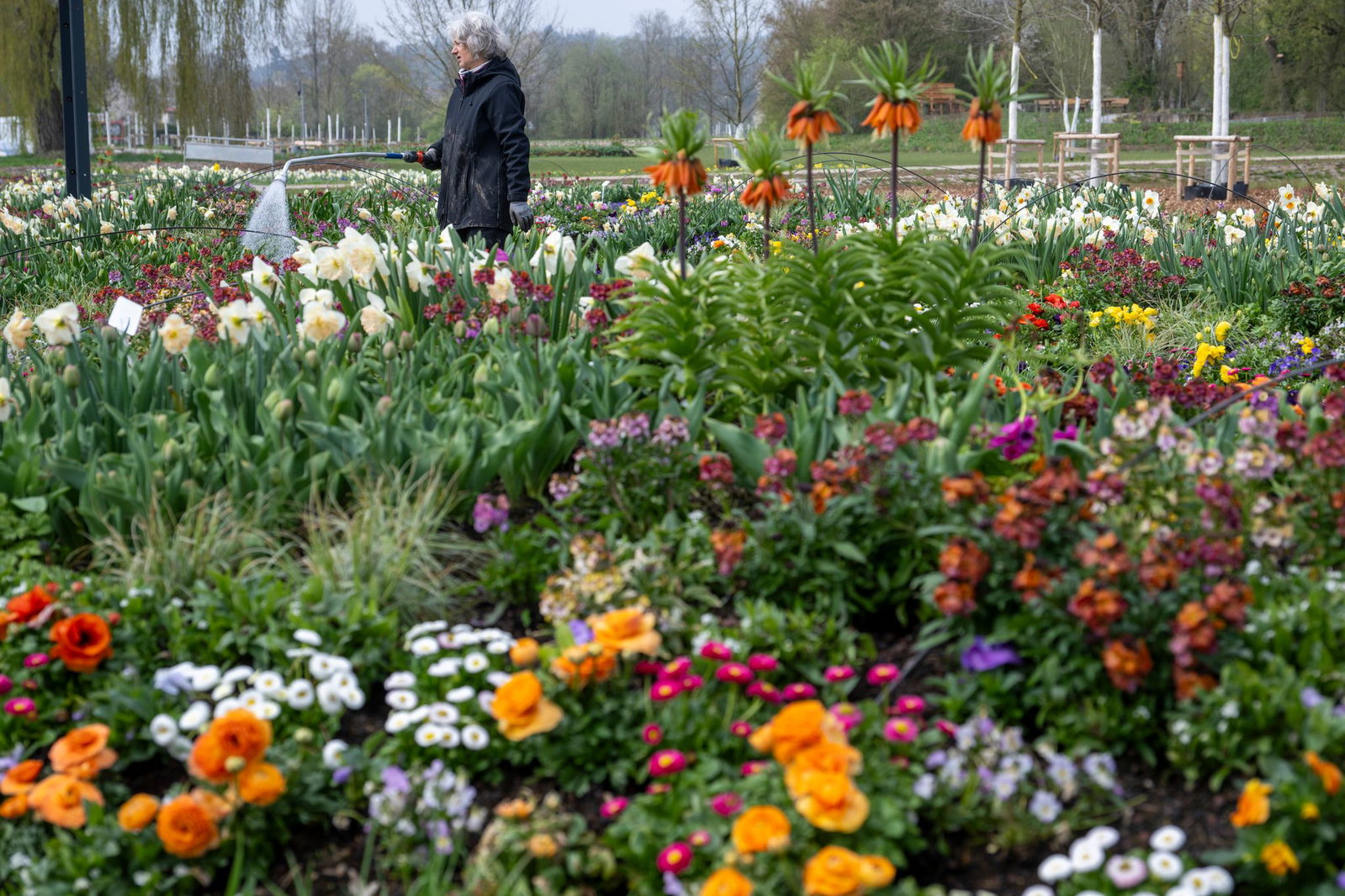 Es grünt und blüht rechtzeitig für die Landesgartenschau.