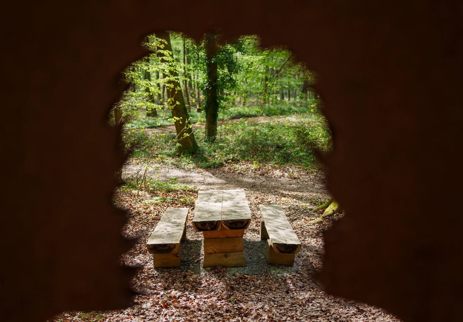 Beim Aufenthalt im Wald gilt für Wanderer, Jogger und Biker auch Eigenverantwortung. 