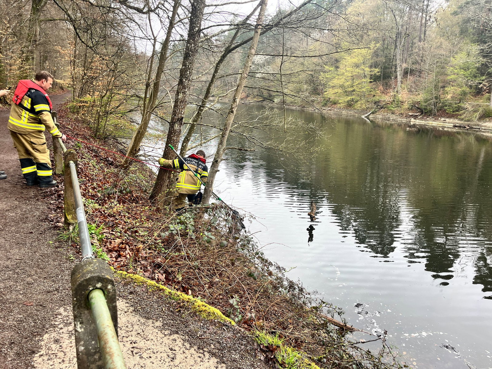 Feuerwehrleute retten in Stuttgart einen Kauz.