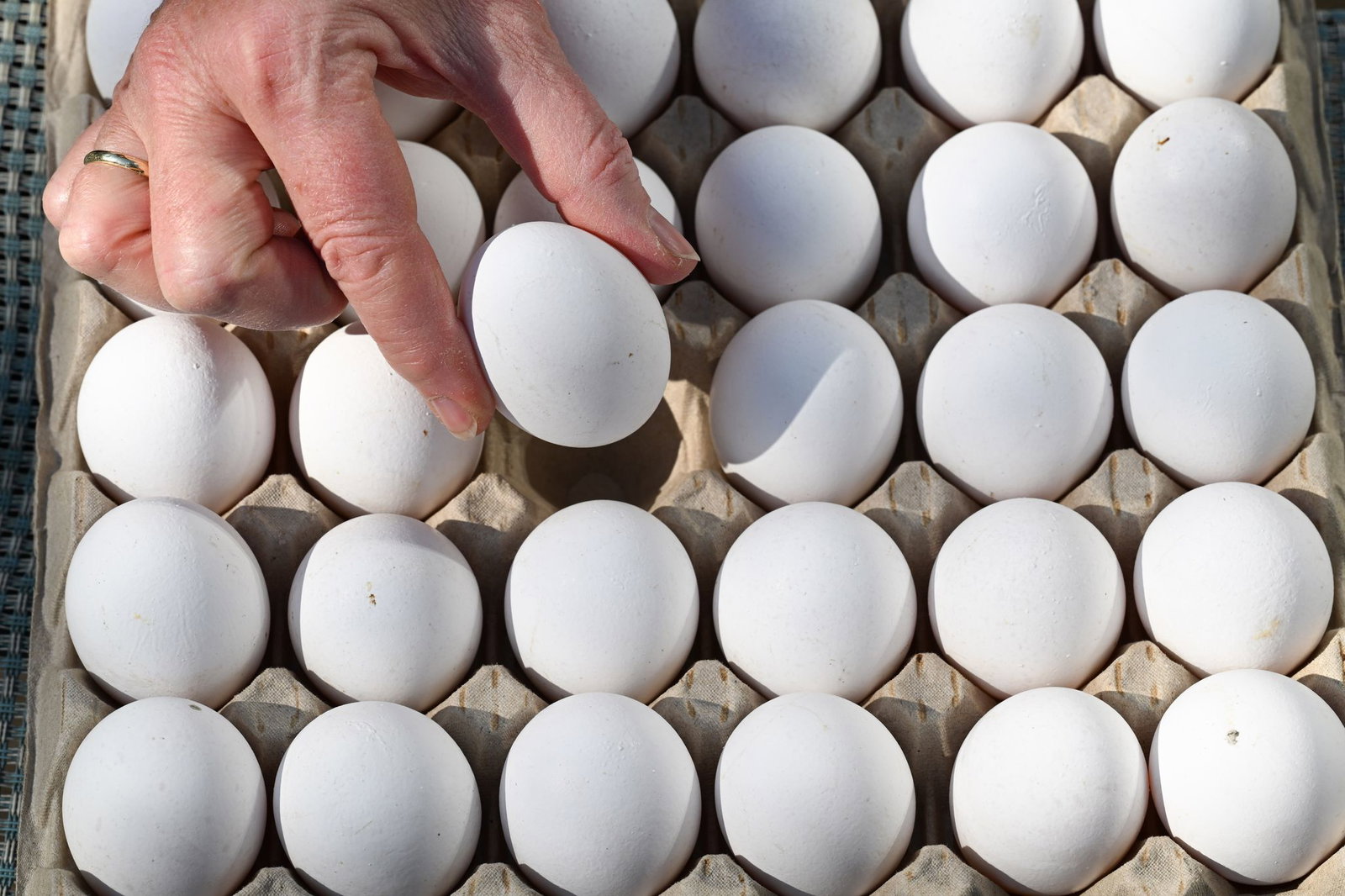 In Baden-Württemberg wurden 2025 mehr Eier erzeugt. (Symbolbild)