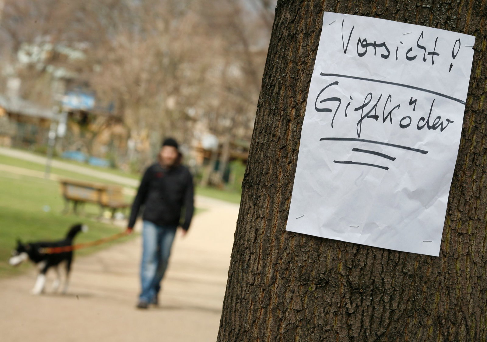 Zwei Hunde sind nach dem Verzehr von vergifteter Wurst bei Bretzfeld gestorben. (Symbolbild)