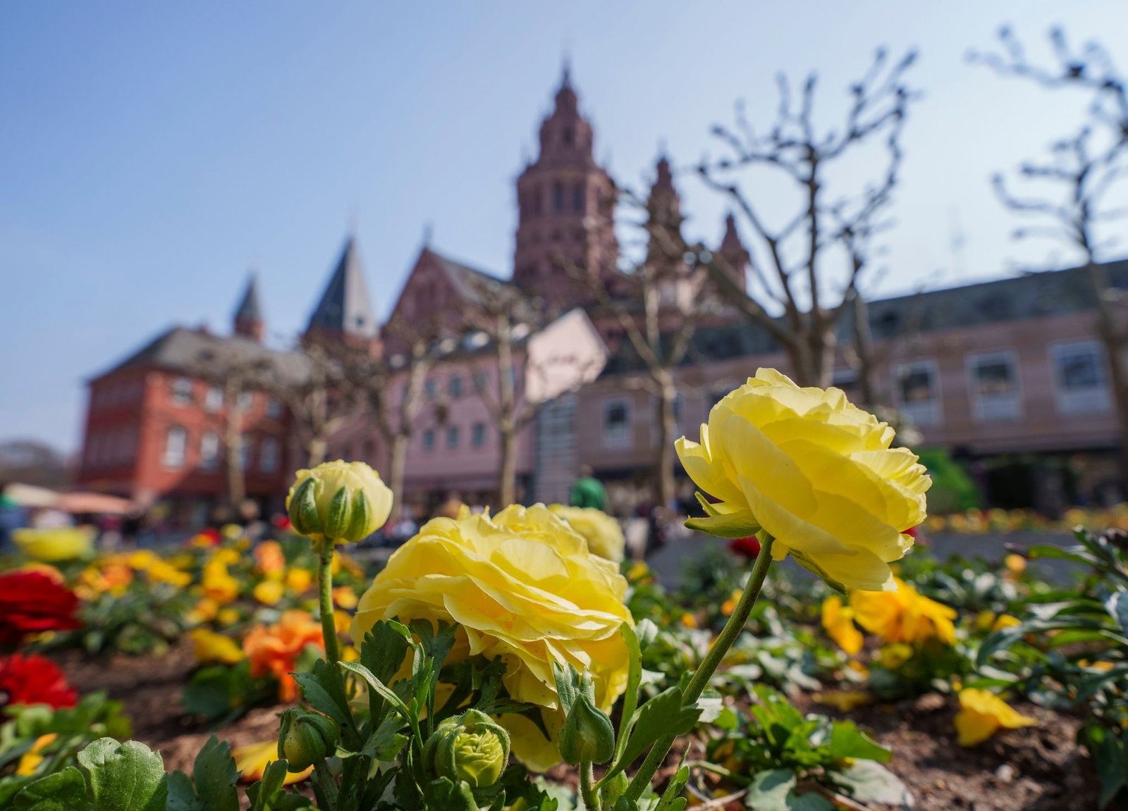 Ende April geht es in Mainz um Sekt und Wein. (Symbolbild) 