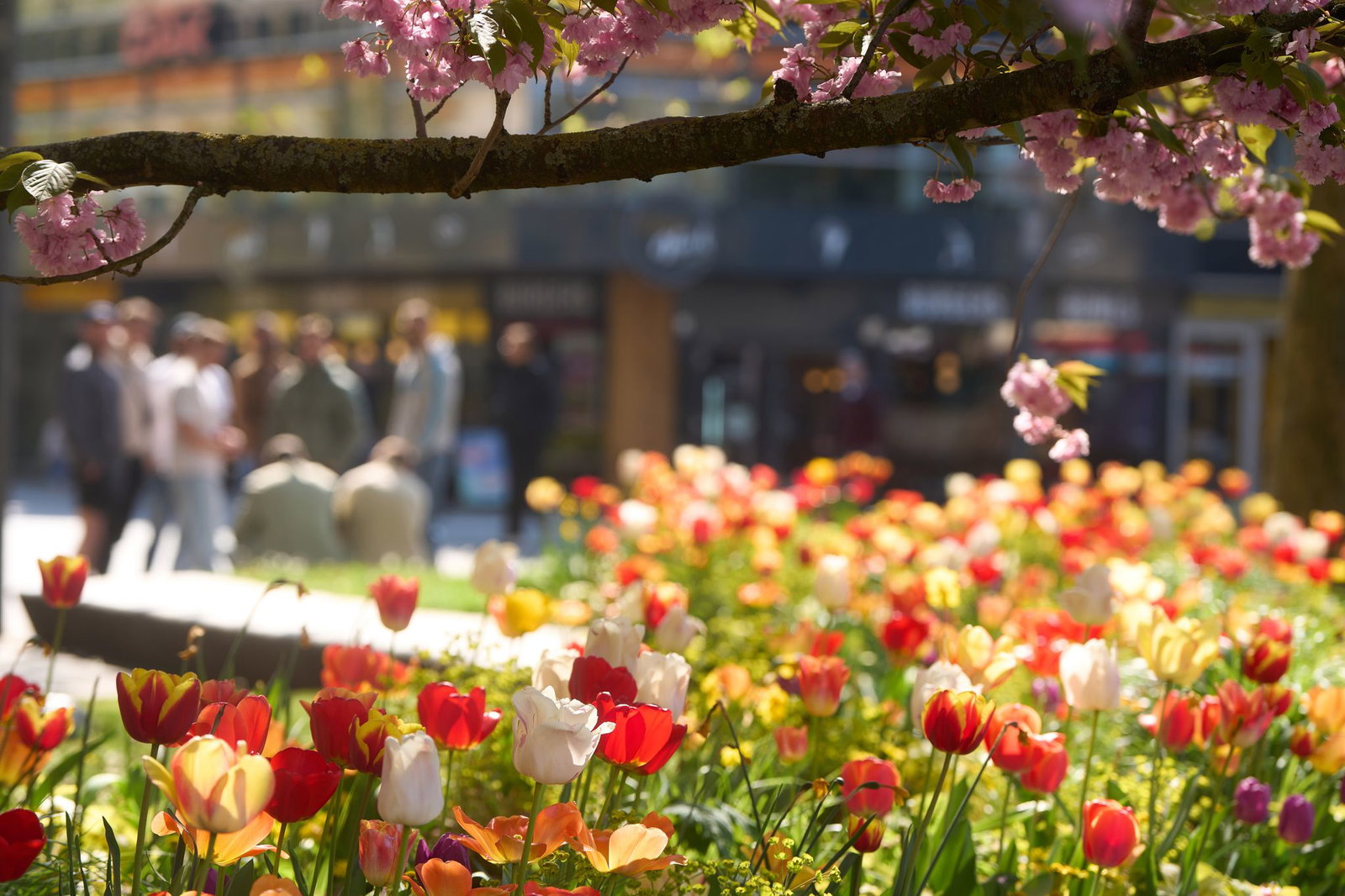 Das freundliche Frühlingswetter in Rheinland-Pfalz und im Saarland hält an. (Symbolbild)