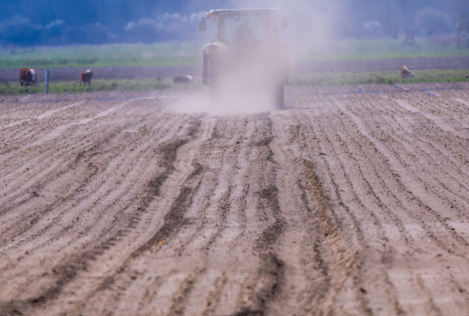 Der Bauern- und Winzerverband Rheinland-Nassau sieht eine Wettbewerbsverzerrung durch das Entgelt. (Archivbild)
