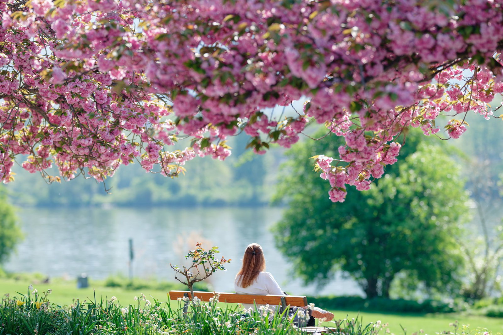 Wer Sonne tanken will, sollte schnell raus. (Archivbild)