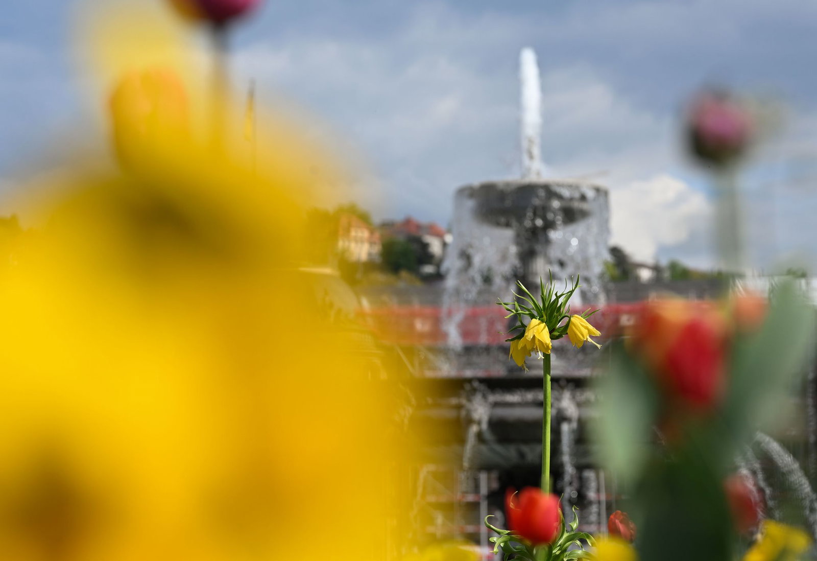 Frühlingsgefühle ade: Stattdessen sind im Land häufig Schauer möglich. (Archivbild)