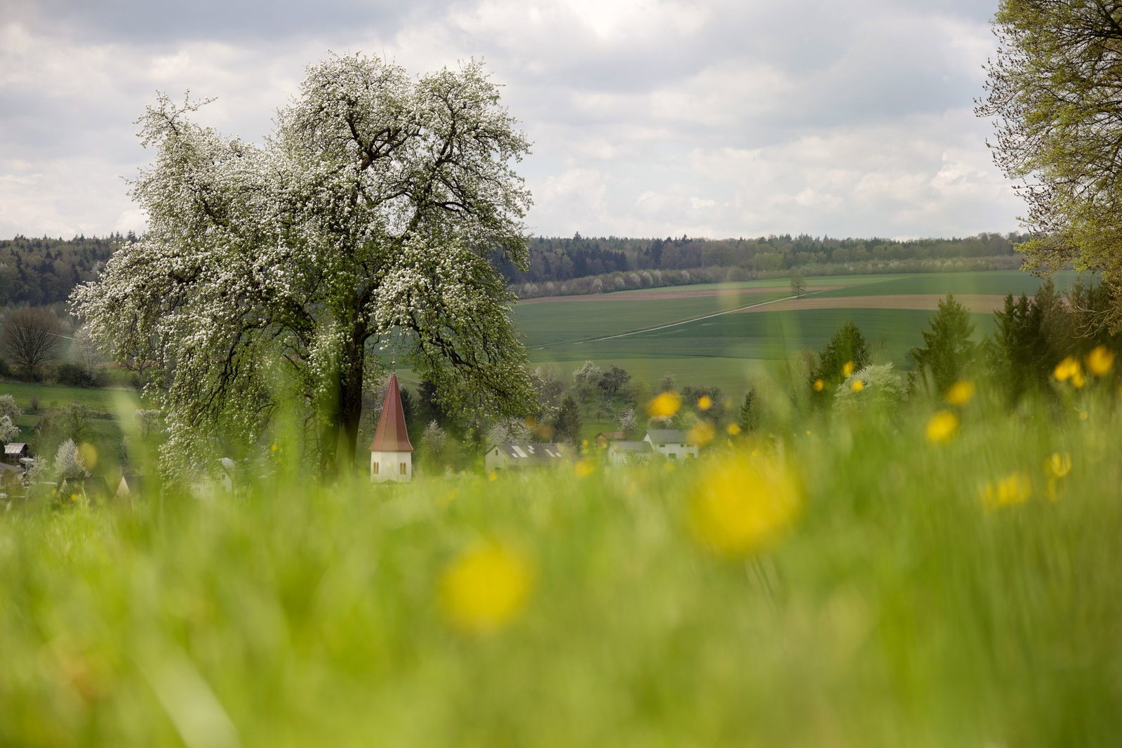 Frühlingsgefühle ade: Stattdessen sind im Land häufig Schauer möglich.