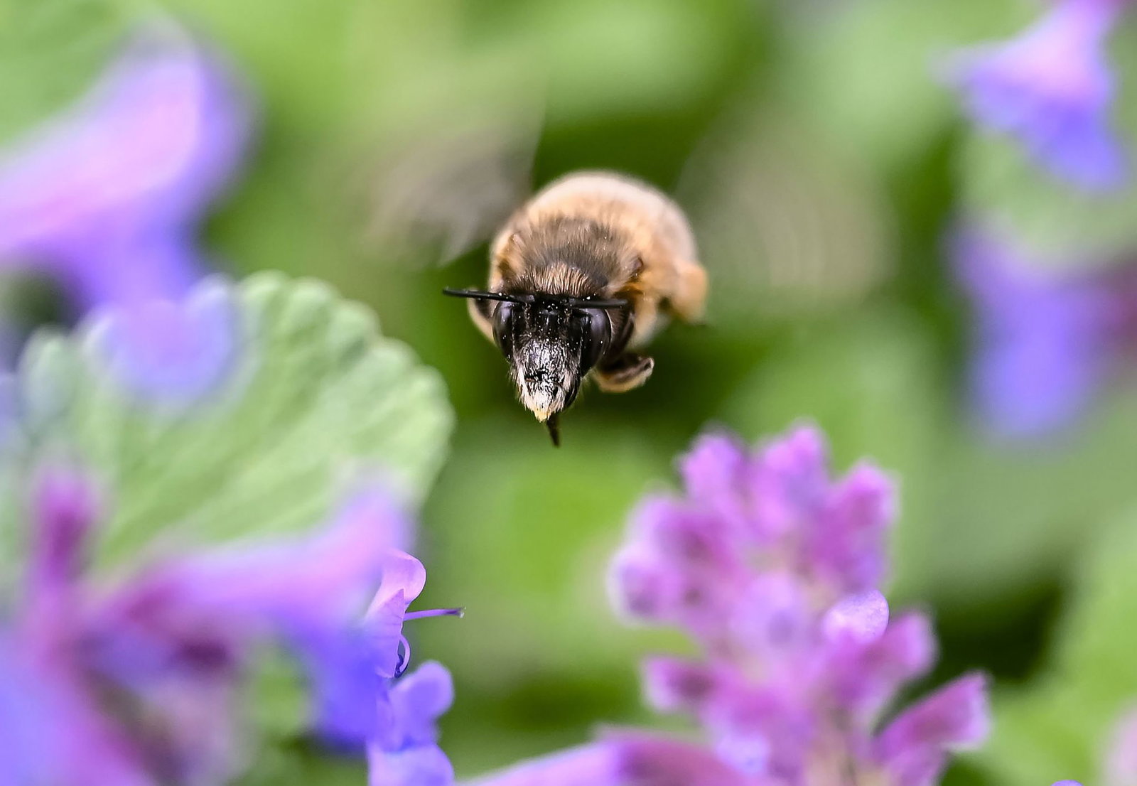In Baden-Württemberg liegt Frühling in der Luft.