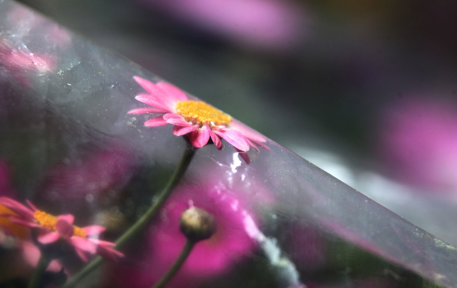 Die langfristigen Klimamodelle der Wetterexperten erwarten eher höhere Temperaturen. (Archivbild)