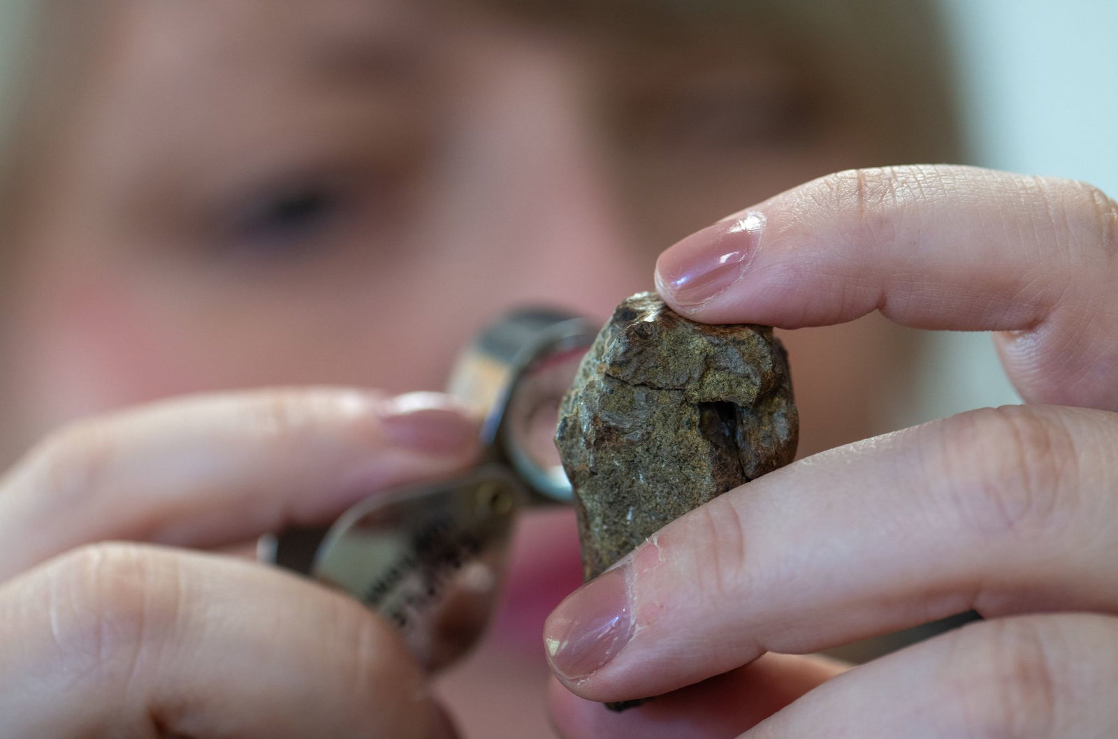 Der Fund der Fossilien gelang in einem Tal der Prüm in der Südeifel