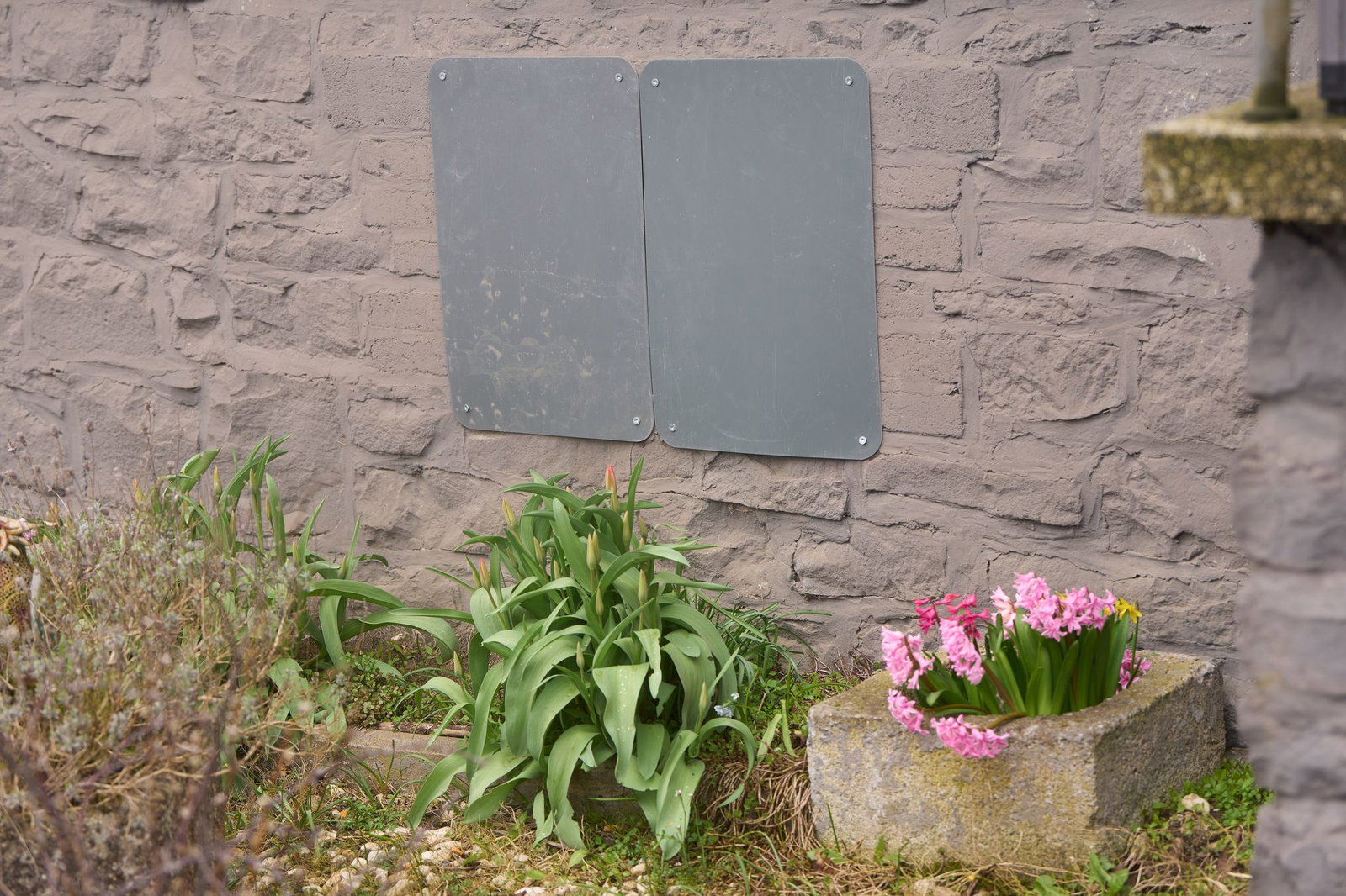 Ein paar Blumen blühen im Vorgarten, auch wenn das Haus leersteht. 