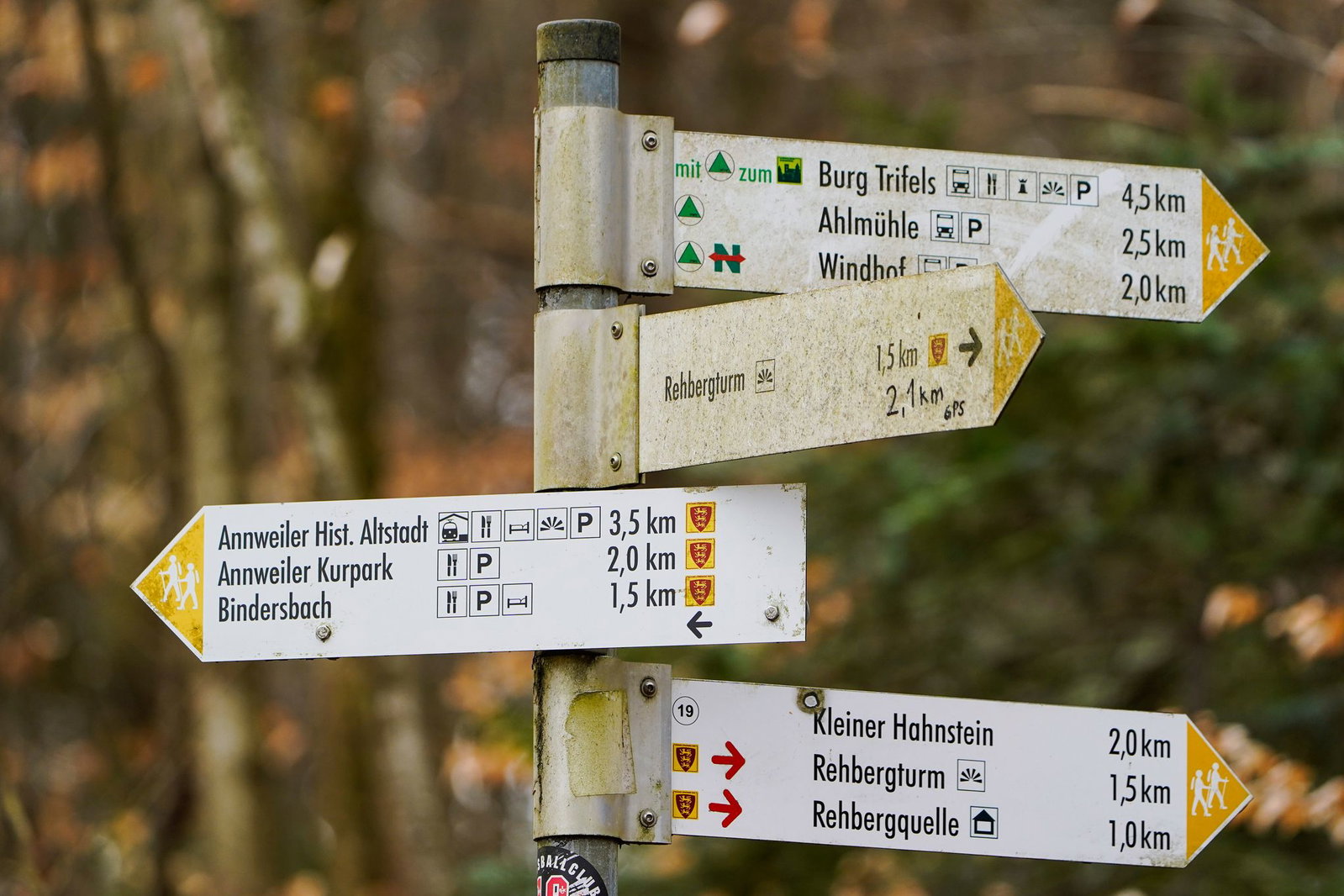 Der 83-Jährige war beim Wandern im Pfälzerwald gestürzt. (Symbolbild)