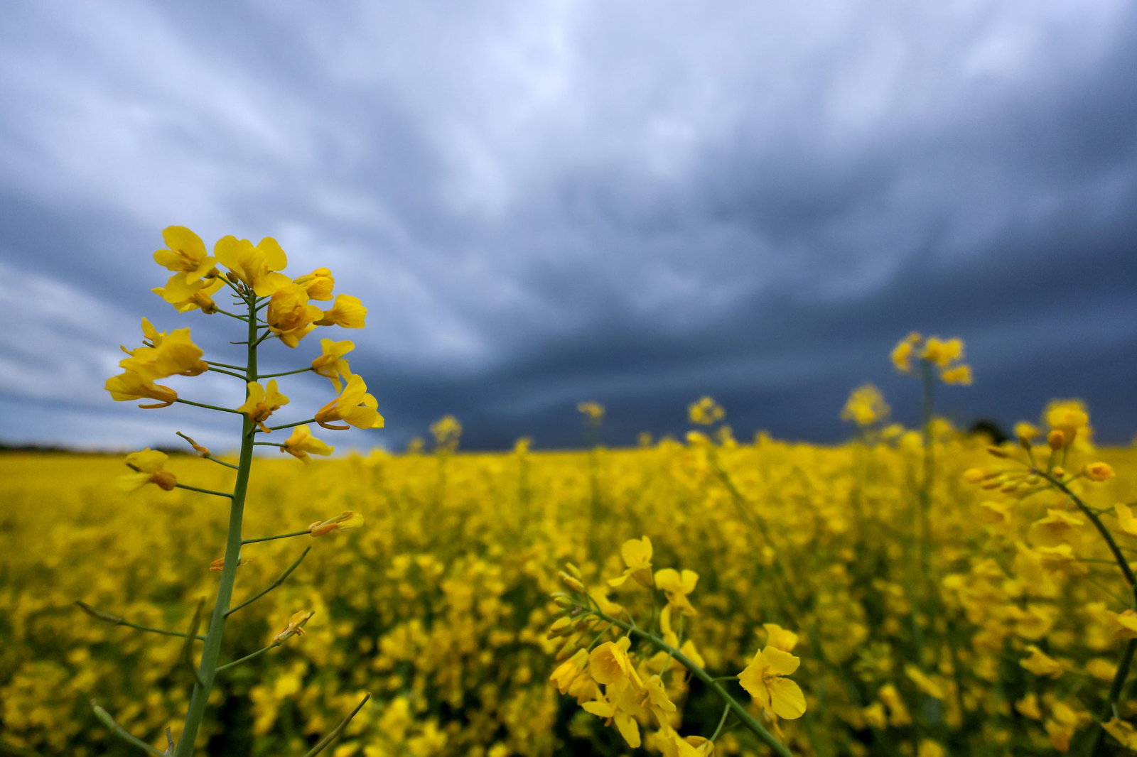 Das Wetter bleibt erstmal wechselhaft. (Archivbild)