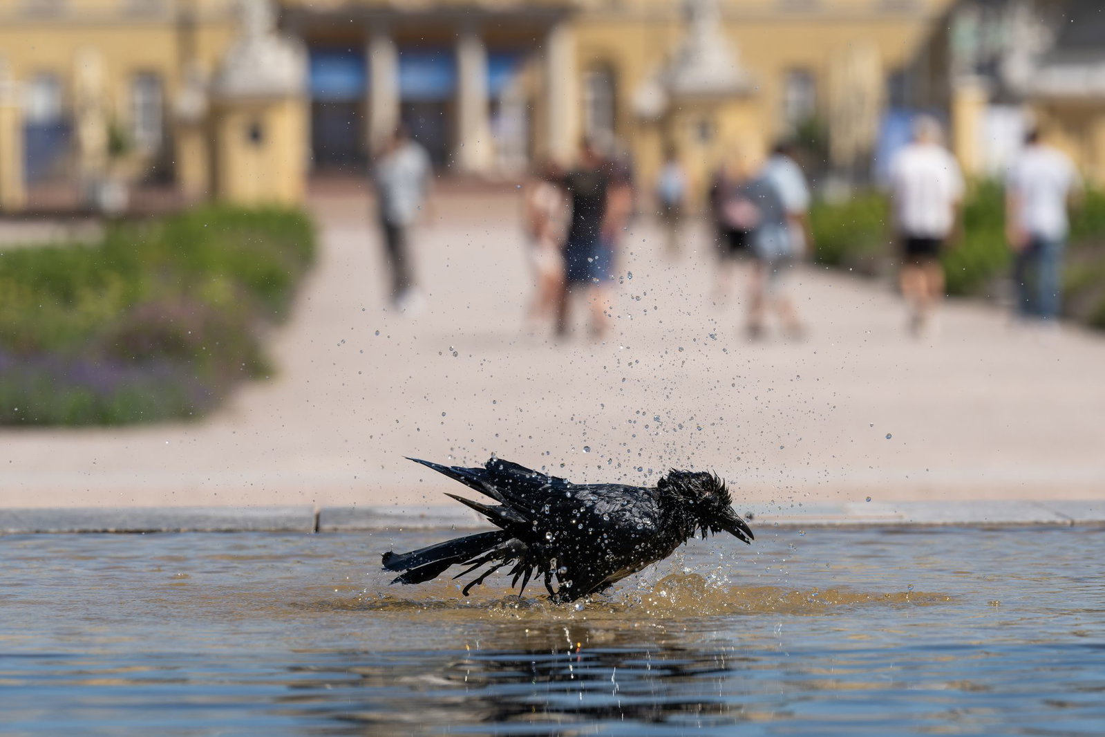 Ein Besuch im Schwimmbad oder am Badesee lohnt sich.