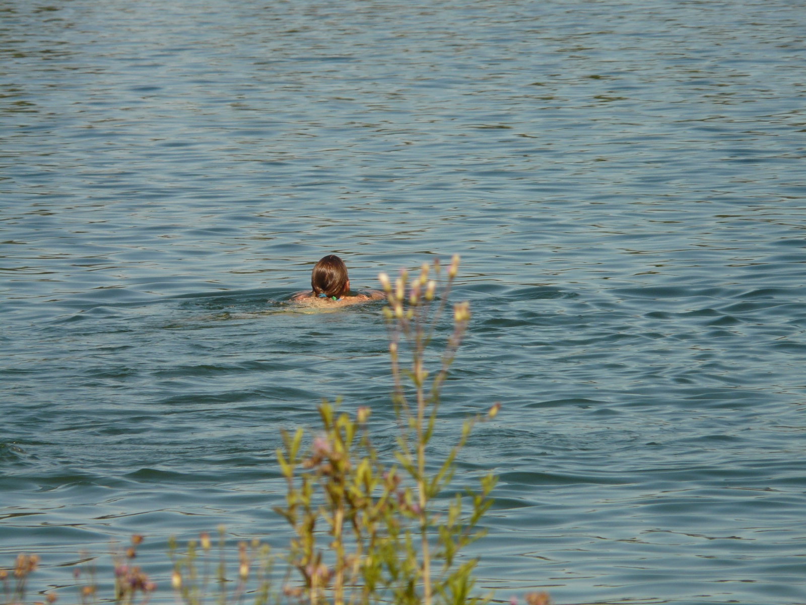 Frau schwimmt in Badesee