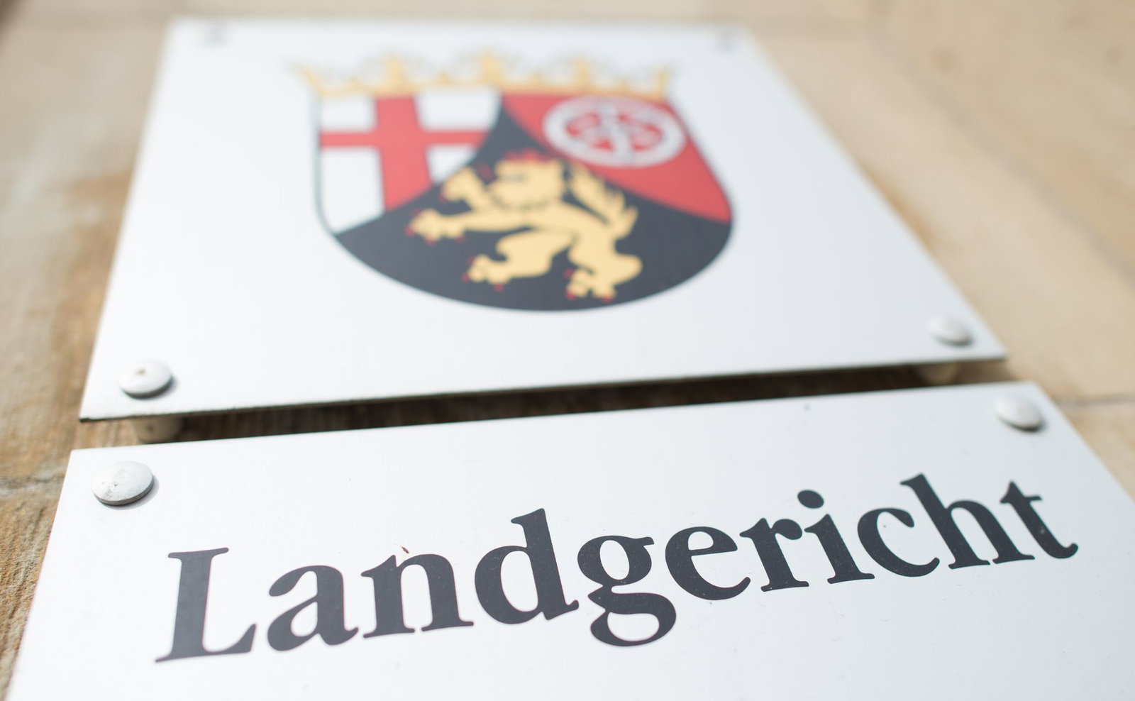 Das Landgericht Landau muss nun über die Zulassung der Anklage und die Eröffnung des Hauptverfahrens entscheiden. (Symbolfoto)