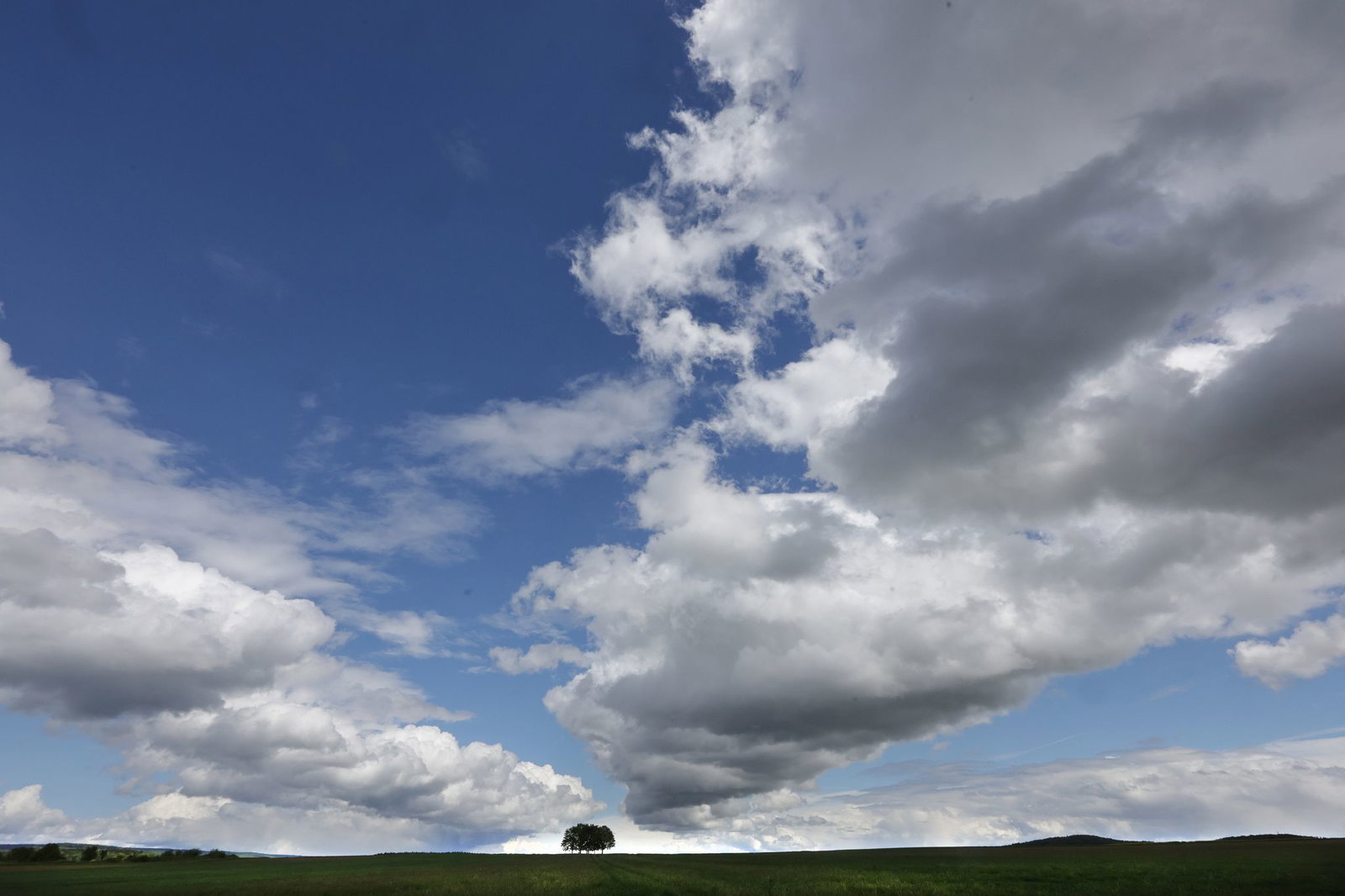 Über immer weniger Regen und immer mehr Sonne können sich die Menschen in Baden-Württemberg in den kommenden Tagen freuen. (Symbolbild)
