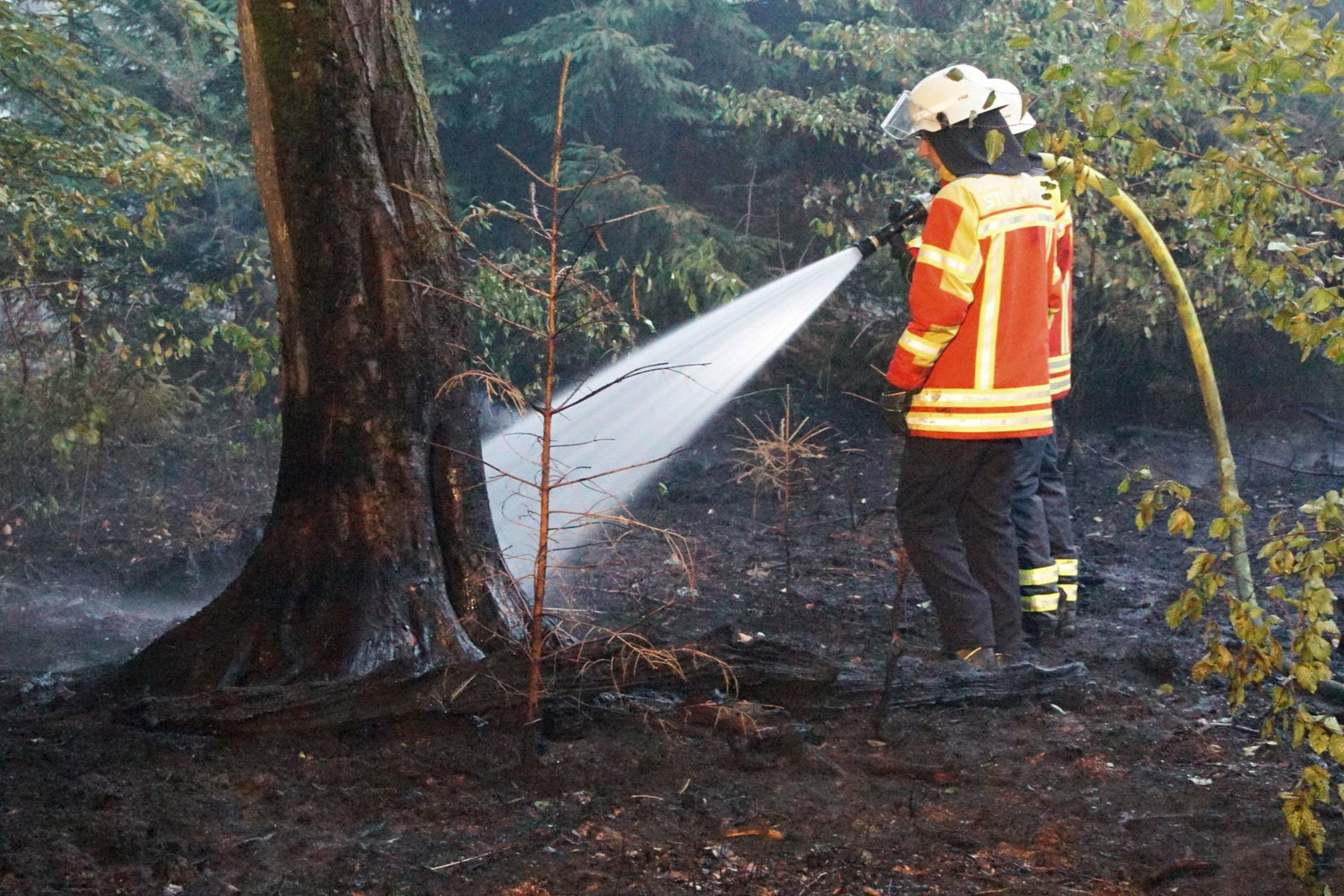 Die Feuerwehr ist nach Angaben ihres Verbands in Alarmbereitschaft.(Archiv)