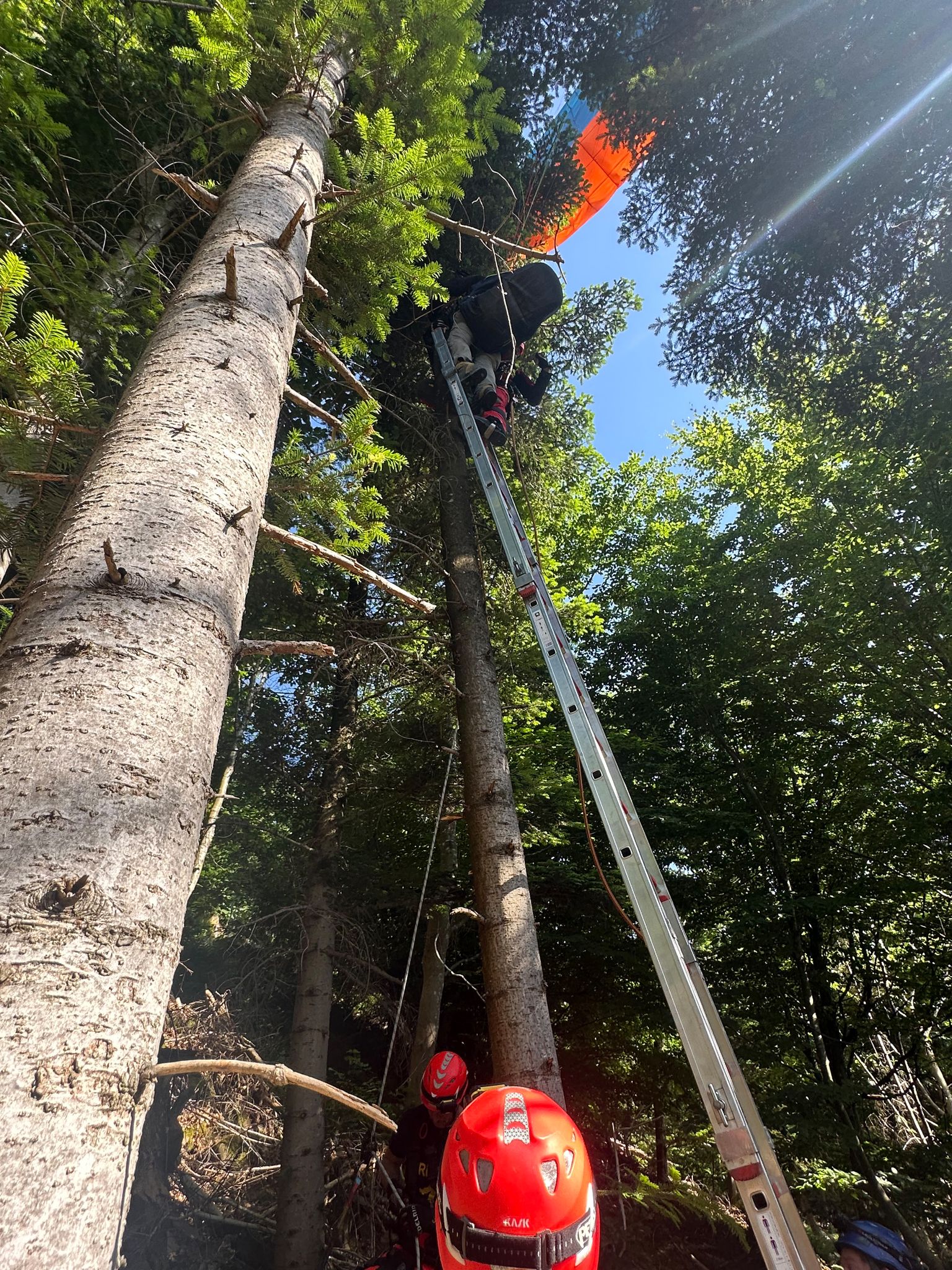 Mit einer Leiter rettete die Feuerwehr den Gleitschirmflieger aus dem meterhohen Baum.