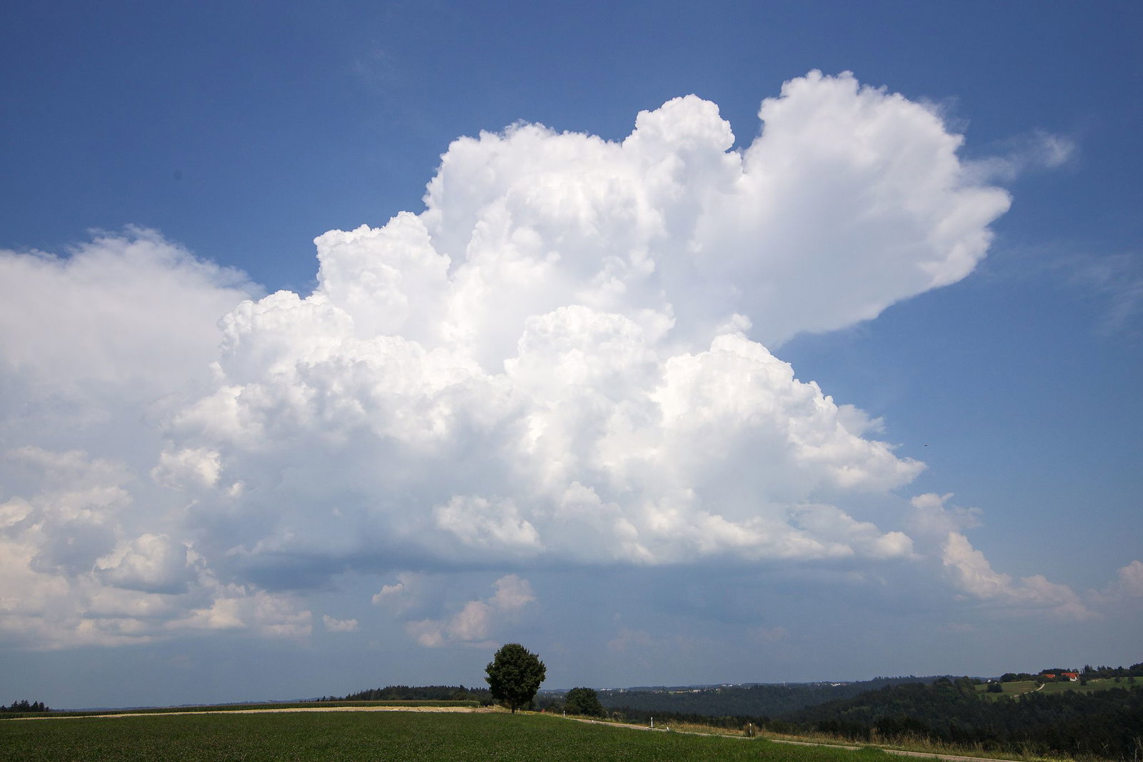 Sommerliches Wetter wird in Rheinland-Pfalz und im Saarland erwartet. (Archivbild)
