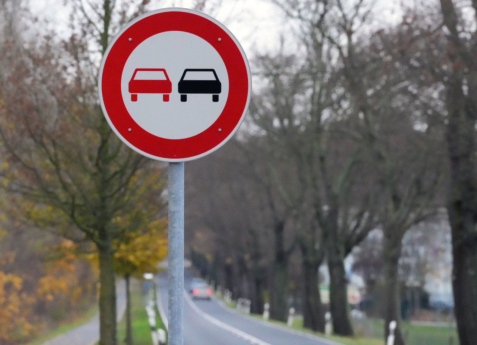 Der 31-Jährige missachtete das Überholverbot – mit schweren Folgen. (Symbolbild)